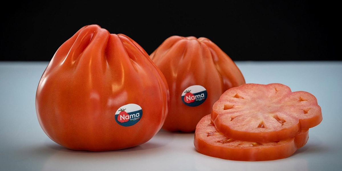 Il pomodoro NAMA emblema del Made in Italy all’estero